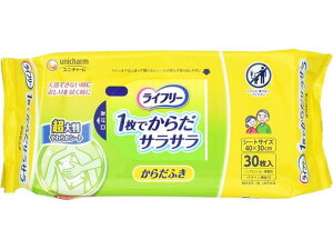 j`[ Ct[ 炳炩炾ӂ 30 炾ӂ PA  