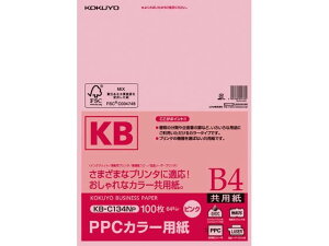 RN PPCJ[p B4 sN 100 KB-C134NP B4 sNn  J[Rs[p