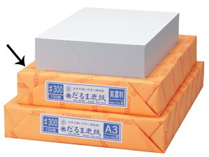 �S�[�N�� �ڎ� B4 100�� �_���}300-B4 �ڕ\�� ���{