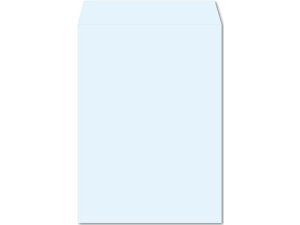 e[vtJ[ p2 tbVg[ XJC 100 K2S542F