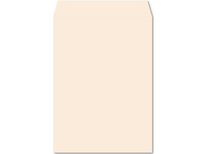e[vtJ[ p2 tbVg[ sN 100 K2S552F