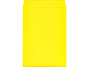 p2J[Ntg CG[ 100 K2S-423 p2 A4TCYp p^Cv Ft m[g