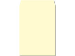 e[vtJ[ p2 tbVg[ N[ 100 K2S541F p2 A4TCYp p^Cv Ft m[g