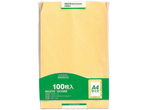 }AC pNtgp20 100 PK-1A4 p2 A4p p^Cv m[g