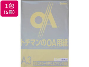 SAKAEeNjJy[p[ ɌJ[PPC A3 CG[ 50×5 A3 CG[n  J[Rs[p