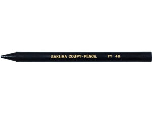 TN N[s[yV(PF)  10{ JFYo49 N[s[yV ޗpML