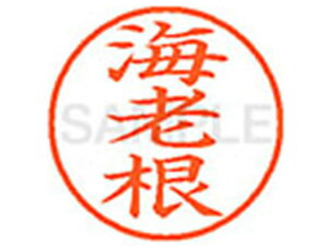 y񂹁zV`n^ XL-9(CV) XL900446 G l[9 As a9D5mm l[ X^v