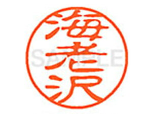 y񂹁zV`n^ XL-11(CV) XL1100443