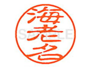 y񂹁zV`n^ XL-11(CV) XL1100444