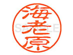 y񂹁zV`n^ XL-11(CV) XL1100447