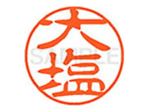 y񂹁zV`n^ XL-11(剖) XL1100481