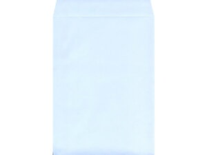 p2tbVg[ ANA 100 K2S-555 p2 A4TCYp p^Cv Ft m[g