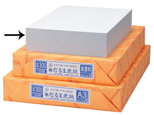 �S�[�N�� �ڎ� A4 100�� �_���}300-A4 �ڕ\�� ���{