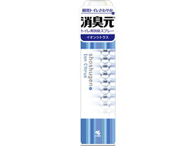 小林製薬 消臭元スプレー イオンシトラス 280mL スプレータイプ 消臭 芳香剤 トイレ用 清掃
