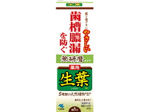小林製薬 生葉無研磨タイプ 95g はみがき オーラルケア