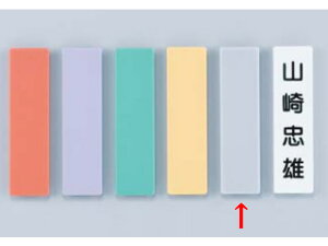 【お取り寄せ】ライオン 人名プレート 片面式 灰 無地 10枚 NO.10 231-89