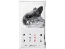 王子ネピア 鼻セレブ ITSUMO+PLUS 48組 611112 保湿 まとめ買い 業務用 大容量 ポケットティッシュ