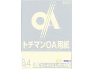 SAKAEテクニカルペーパー 極厚口カラーPPC B4 アイボリー 50枚 B4サイズ カラーコピー用紙