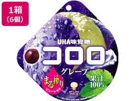 UHA味覚糖 コロロ グレープ 6個入 キャンディ 飴 キャンディ タブレット お菓子