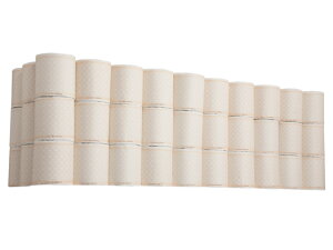 gCbgy[p[ 65m(G{XH)100[ Forestway 1 VOgCbgy[p[ Zbg gCbgy[p[ e Ɩp ܂Ƃߔ  gCy ~ {