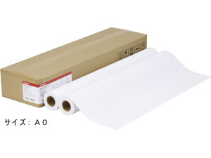 y񂹁zLm v~Aʎ LFM-PPP A0 80[8154A017]