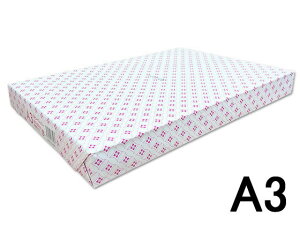 Rs[y[p[ JPN A3 500 Forestway