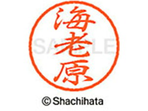 y񂹁zV`n^ ubN8 XL-8(CV) XL-8-0447 G ubN8 As a8mm l[ X^v