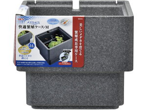 y񂹁zWFbNX _JCKEɐBP[XM Ɩ ObY Ϗ܋ ybg