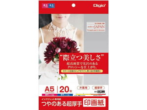 y񂹁ziJoV ̂钴 掆 A5 20 JPSK2-A5-20