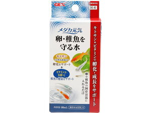 y񂹁zWFbNX _JCEt鐅 ObY Ϗ܋ ybg