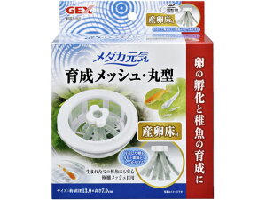 y񂹁zWFbNX _J琬 bV ی^Yt ObY Ϗ܋ ybg ANAE