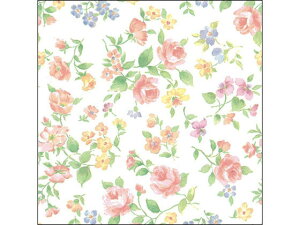 �y�����񂹁z�^�J�� ��� ���}�l�X�N ���˔�(530×757mm) 50�� 49-1560 ��� � ���b�s���O