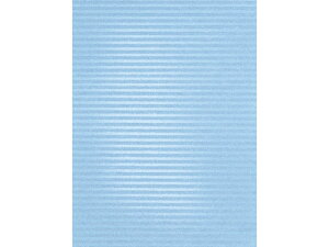 y񂹁z^J  NX^u[ S(753×1050mm) 50