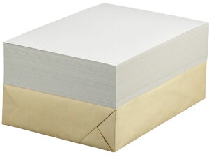 �Z�L���C ���{�[���� A4 100�� CA4 �ڕ\�� ���{