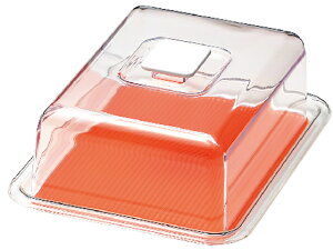 y񂹁zY NAu[nbgpP[L  IW  Lb` G e[u