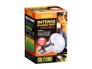 y񂹁zWFbNX TO[^Cgr[oXLOX|bgv50WPT2135  ybg ETM nX^[