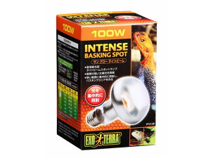 y񂹁zWFbNX TO[^Cgr[oXLOX|bgv100WPT2138  ybg ETM nX^[