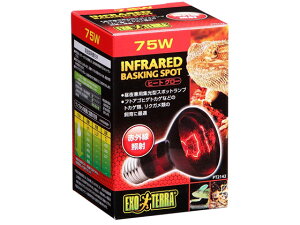 y񂹁zWFbNX q[gO[ԊOƎ˃X|bgv75W  ybg ETM nX^[