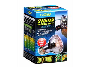 y񂹁zWFbNX XvO[hHv50WPT3780  ybg ETM nX^[