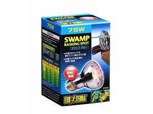 y񂹁zWFbNX XvO[hHv75WPT3781  ybg ETM nX^[