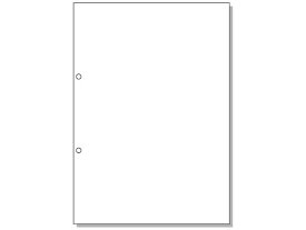 ヒサゴ マルチプリンタ帳票 A4 白紙 2穴 100枚 BP2001 マルチプリンタ帳票 A4 ヒサゴ OA伝票 帳票