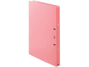 y񂹁zvX  p҃JeOt@C A4^e w24.5 sN A4 ی^2Ot@C PP Ot@C