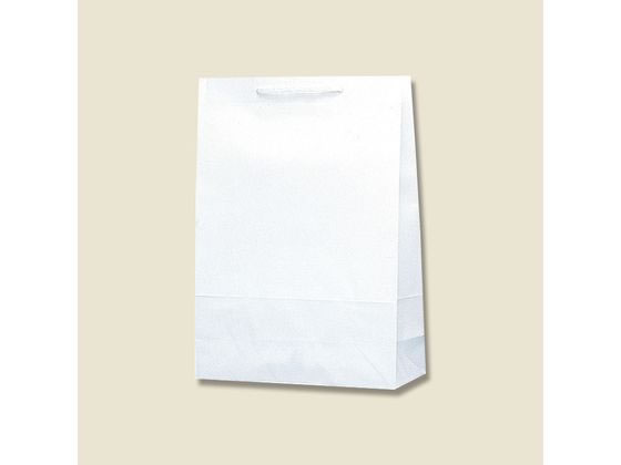 お取り寄せ 税込1万円以上で送料無料 人気の定番 ヘイコー 紙袋 T型チャームバッグ 50枚 003130600 白無地 2才 大好評です