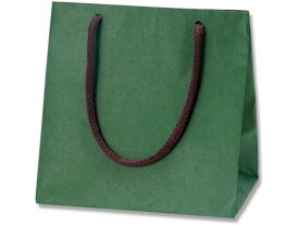 【お取り寄せ】ヘイコー 紙袋 カラーチャームバッグ MW グリーン 10枚 005330001 紙手提袋 丸紐 ラッピング 包装用品