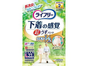 Ct[ ̊o ^pc 2 L 22 lpIc rPA  