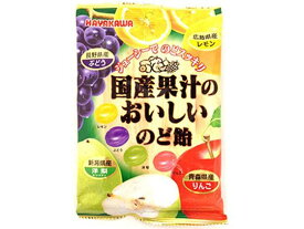 早川製菓 国産果汁のおいしいのど飴 90g のど飴 キャンディ タブレット お菓子