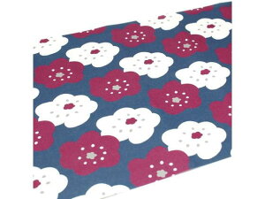 y񂹁zJ mtCNV[g SOUSOU قق MTCARSO02 fR[Vp}XLOe[v CeA fR[VObY