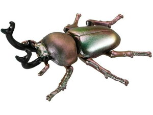 y񂹁z^Jg~[ AjA AS-42 jWCNK^ AjA l` ʂ  zr[ Q[ av