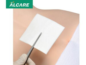 y񂹁zAPA f}GCh 4 100 11983  K[[ PK  fBJ