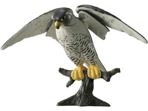 y񂹁z^Jg~[ AjA AS-44 nuT AjA l` ʂ  zr[ Q[ av